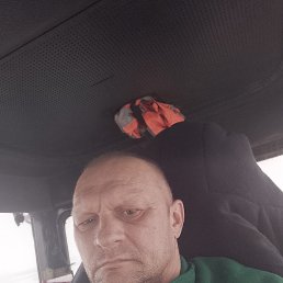 ������, 46 ���, ������