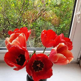 ���� �������, �����-���������, 75 ��� - ��������� 22 ��� 2025