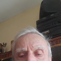 ���� ��������, ������, 88 ��� - ��������� 14 ��� 2026