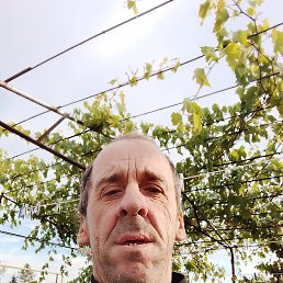  , 48, 