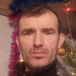 ���� ���������, ���������, 44 ����