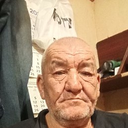 , 66, -