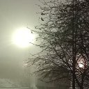 ���� ����, ���������, 38 ��� - ��������� 11 ������ 2023 � ������ ���� ����������