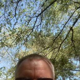 ϸ��, ������-���, 49 ���