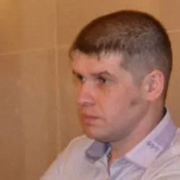 �������, ����, 41 ���