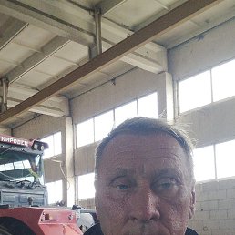 �����, ������, 55 ���