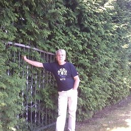 ����� ����������, �����-���������, 60 ���