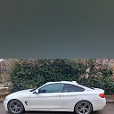 ���� Kaxaber, �������, 37 ��� - ��������� 12 ������� 2024 � ������ ���� ����������