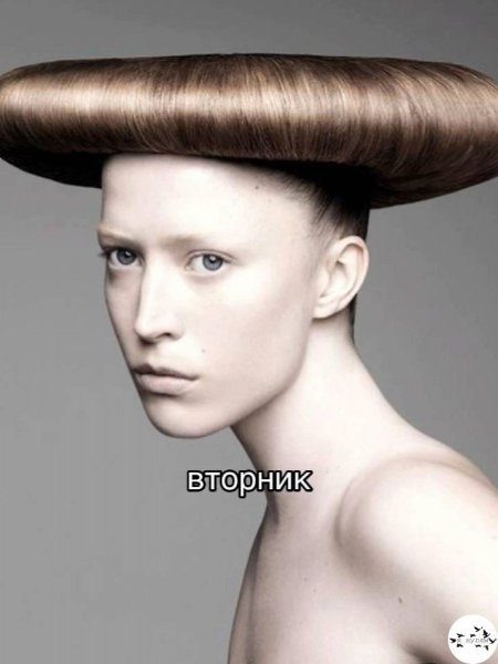 �a��e �e���e �p��ec�� � ��o��.���� ����� ����� � ������� - 3