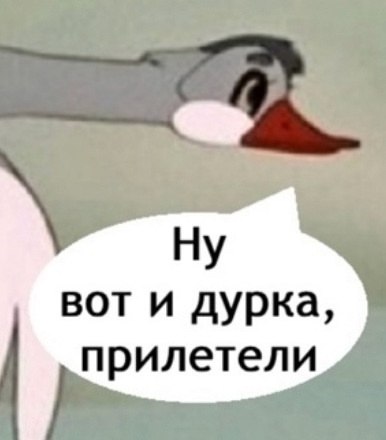 Ну вот и прилетели