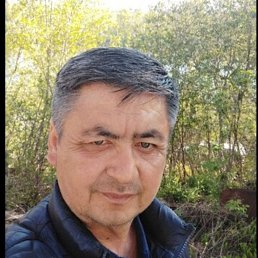 , 53, 