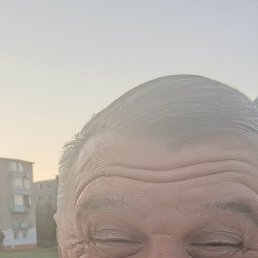 ����, 49 ���, �����-���������