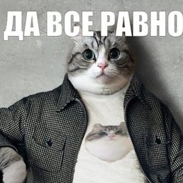 ����, �������, 30 ���