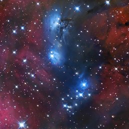 ���������, ��������