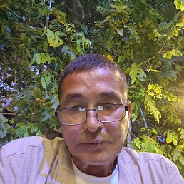 , 55, 