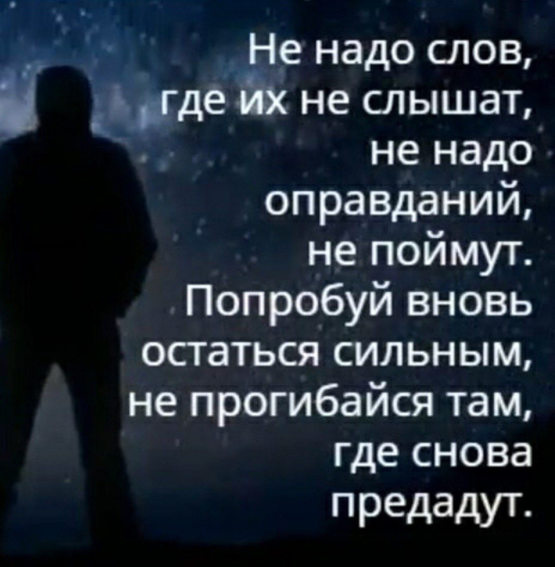 *T���* - 17 ������� 2026 � 10:52
