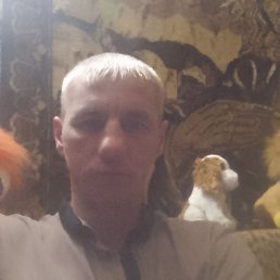 ����, 38 ���, �����-���������