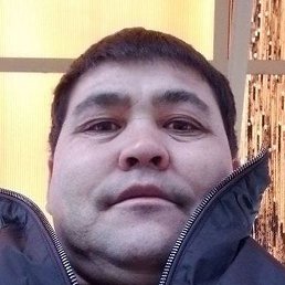 ������, ���������� �����, 38 ���