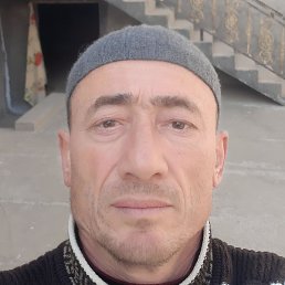 ������, �����, 49 ���