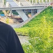 , 44 , 