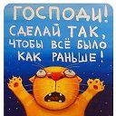 ���� �������, ��������, 77 ��� - ��������� 9 ��� 2024 � ������ ������ ��������