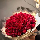 ���� ��������, �����, 58 ��� - ��������� 27 ������� 2024 � ������ ���� ����������