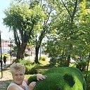 ���� ����, ���������, 54 ���� - ��������� 18 ���� 2025 � ������ ���� ����������