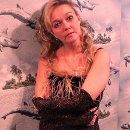 ��������, ������, 49 ���