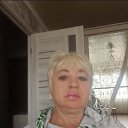 ���� ����, �����, 44 ���� - ��������� 8 ������� 2026 � ������ ���� ����������