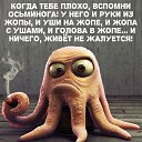 ���� �������, ������������, 56 ��� - ��������� 19 ���� 2025 � ������ ���� ����������
