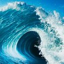 ���� ���, ���������, 53 ���� - ��������� 5 ������ 2025 � ������ ���� ����������