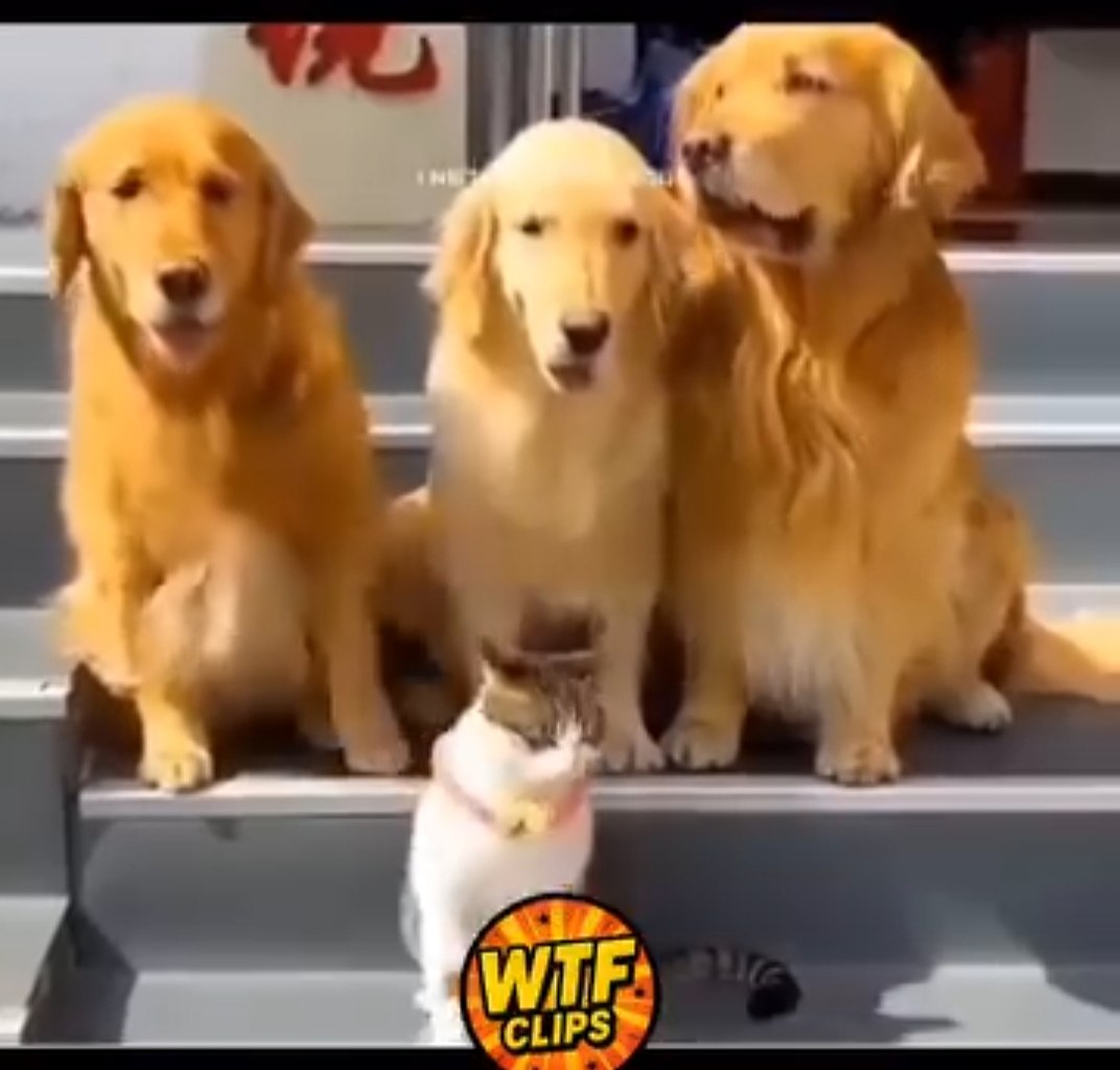 -  !  ?   ? ? ! - ! ! -  ,  ... - 3