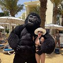 ���� �������, ������ - ��������� 22 ������ 2025 � ������ ���� ����������