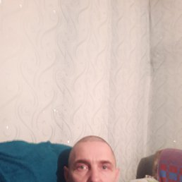 ����, 38 ���, �����������