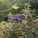 ���� ����� 🎗, ������ - ��������� 22 ������� 2026 � ������ ���� �����������