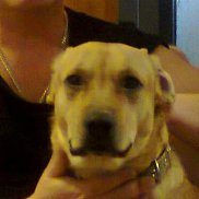 �����, 52 ����, �����-���������