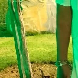 �������, ���������� �����, 58 ���