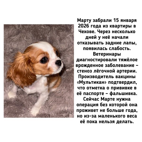 �� - ������������ ������ ������������ �� �������� ��������� (��������) �� ������ ����� (���������� ... - 6