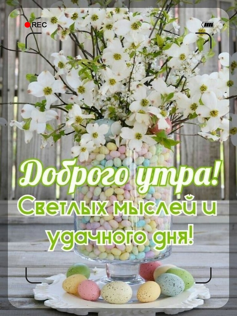����������� � ���������, �������� �� ������ ����. - 12 ������ 2026 � 23:30