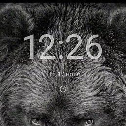 ���� �������, ���������, 51 ��� - ��������� 18 ������ 2023