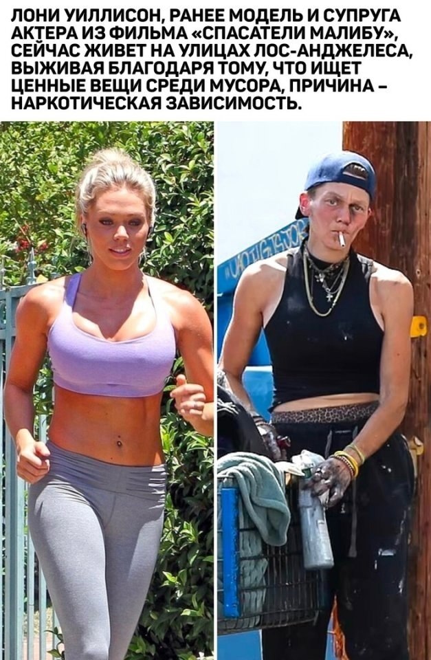  -    ,  ?