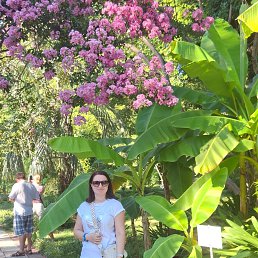 ����, 31 ���, �����