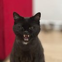 ���� ����, �������� - ��������� 25 ������ 2025 � ������ ���� ����������