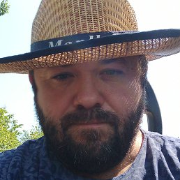 �������, ���������, 41 ���