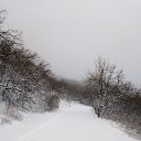 ���� �������, ���������, 34 ���� - ��������� 28 ������� 2023 � ������ ���� ����������