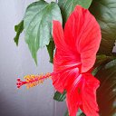 ���� ����, ������, 51 ��� - ��������� 14 ���� 2025