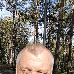 ���������, 50 ���, ������������