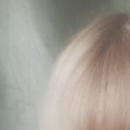 ����, ������, 43 ����