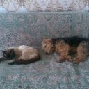 ���� ����, �����, 48 ��� - ��������� 6 ������� 2025 � ������ ������ ��������