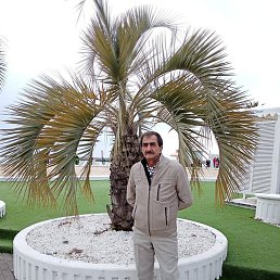 ������, ����������, 64 ����